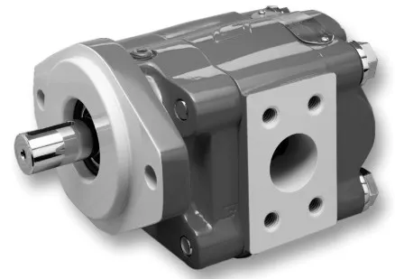 Bomba / motor de engranajes Commercial P30/P31