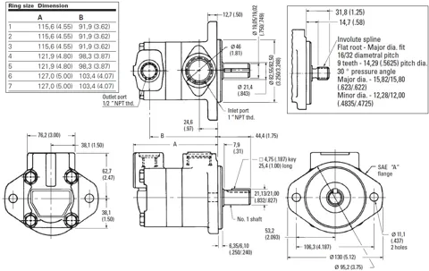 Bomba de paletas Nvicks V10 (intercambiable Vickers)